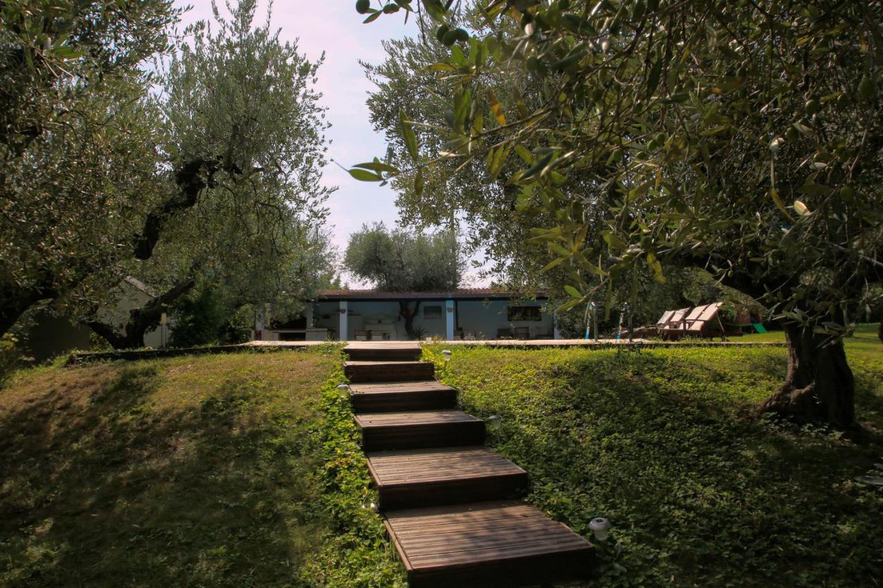 B&B Arli Torrevecchia Teatina 外观 照片