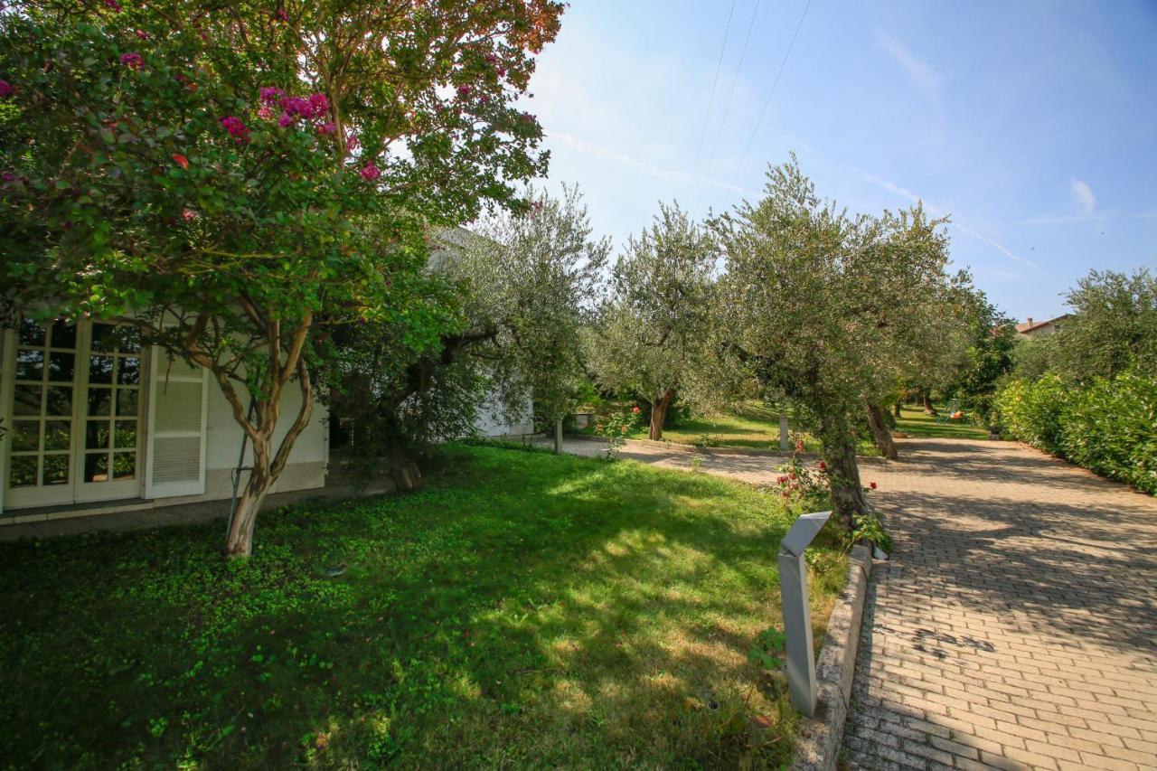 B&B Arli Torrevecchia Teatina 外观 照片