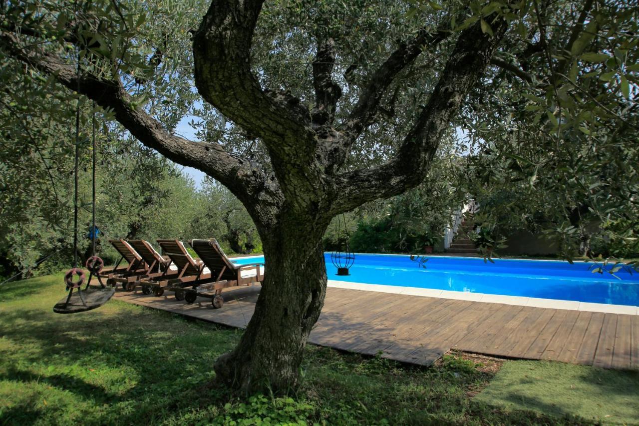 B&B Arli Torrevecchia Teatina 外观 照片