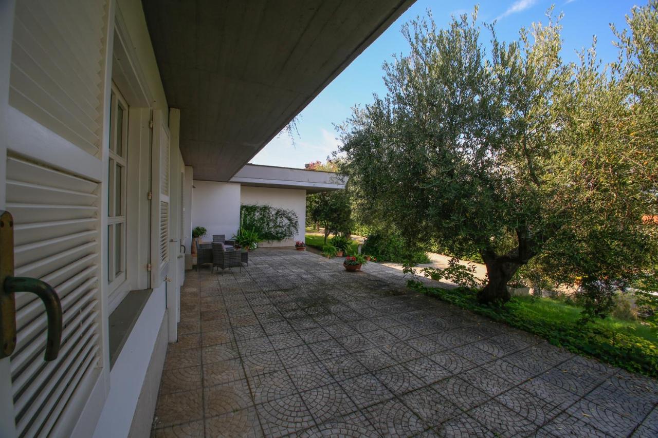 B&B Arli Torrevecchia Teatina 外观 照片